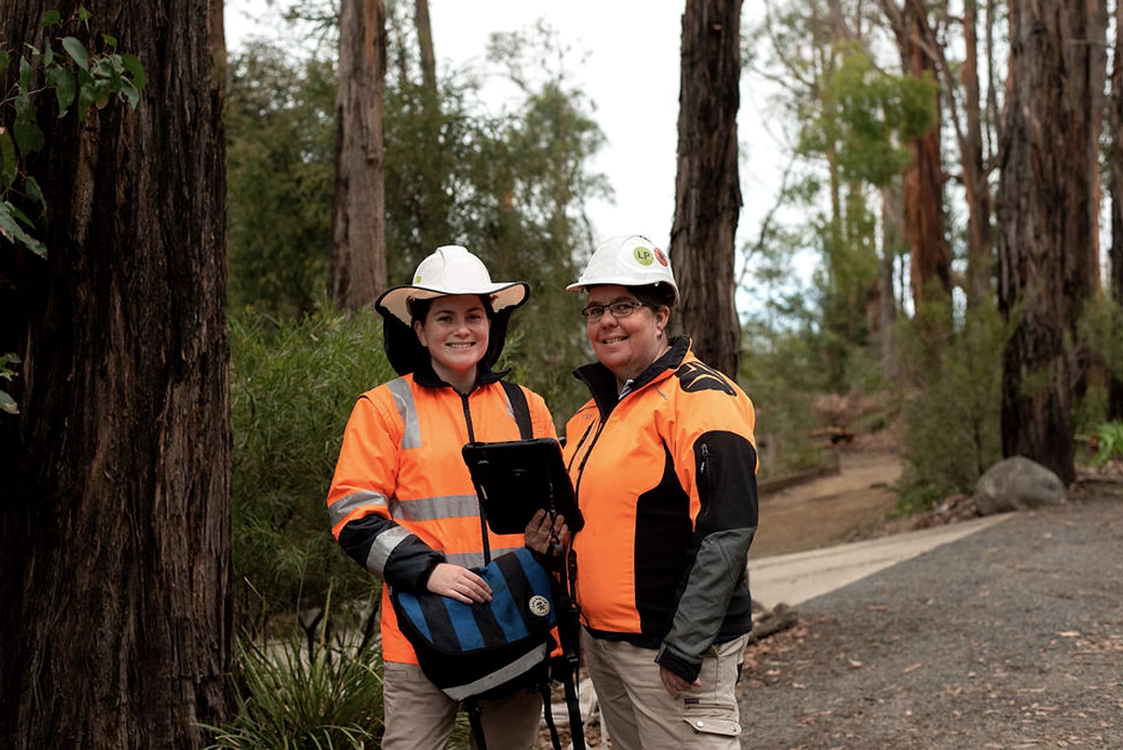 Two arborists stand on a track among tall eucalypts